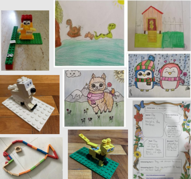 Samples of pupils works and posters on animals